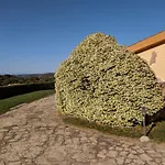 Costa Smeralda House Villa Cugnana