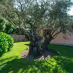 Costa Smeralda House Вилла Куньяна