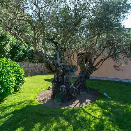 Costa Smeralda House 别墅 库尼亚纳