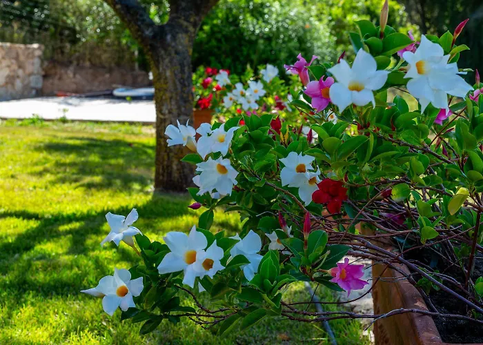 Costa Smeralda House * Cugnana